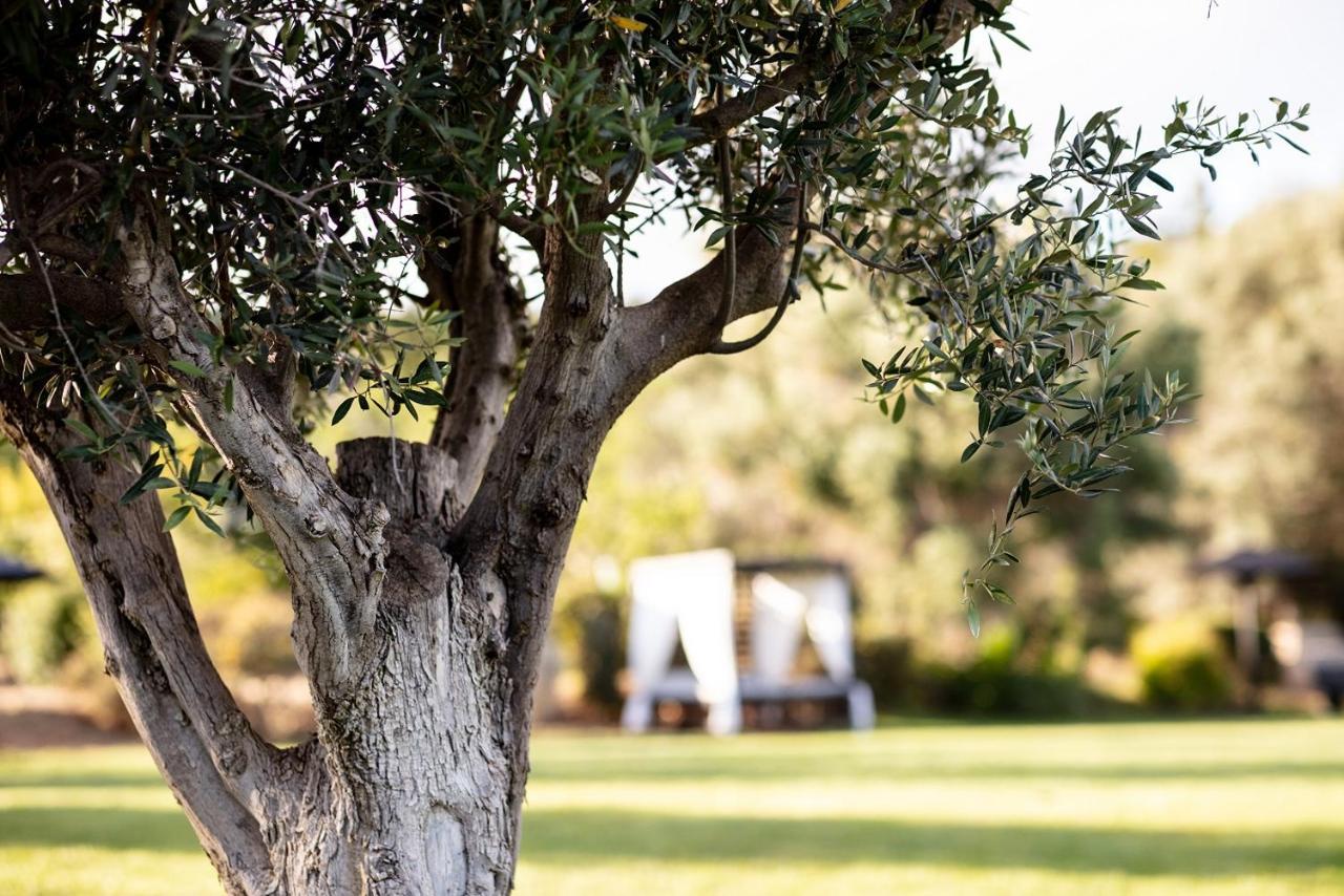 Vila Valverde Design Country Hotel Luz Kültér fotó